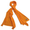 Orange Pure Pashmina Shawls
