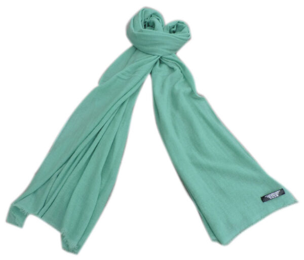 Pashmina Shawls