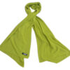 Light Green Water Pashmina Shawls