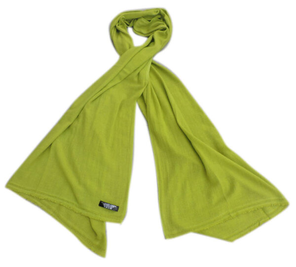 Light Green Water Pashmina Shawls