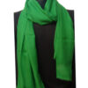 Pure Pashmina Shawl