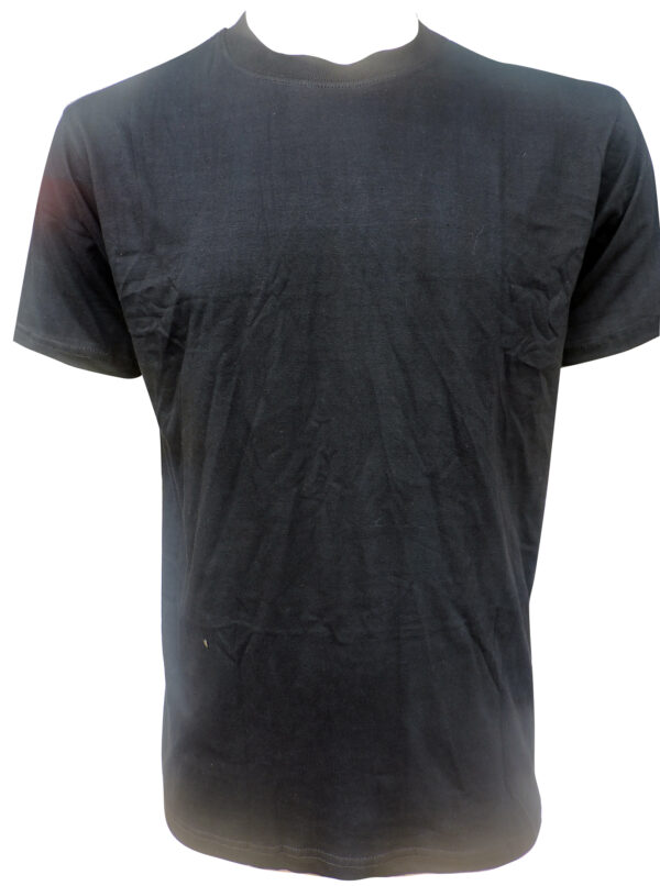 Neat Plain T Shirt Nepal