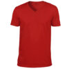 V-Neck T-Shirt