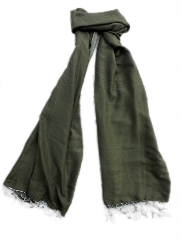 Green Pure Pashmina Shawls