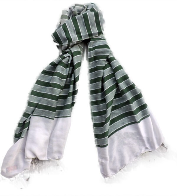 Flawless Pure Pashmina Shawls