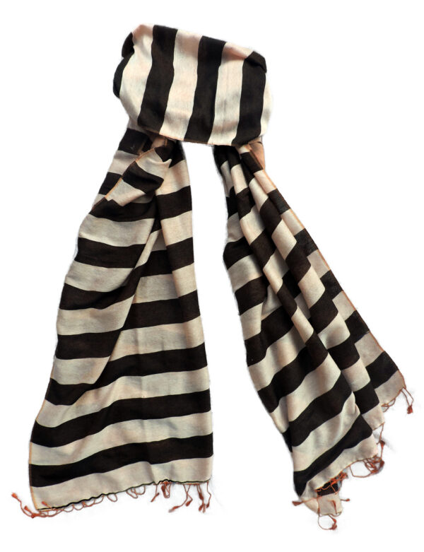 Graceful Pure Pashmina Shawls