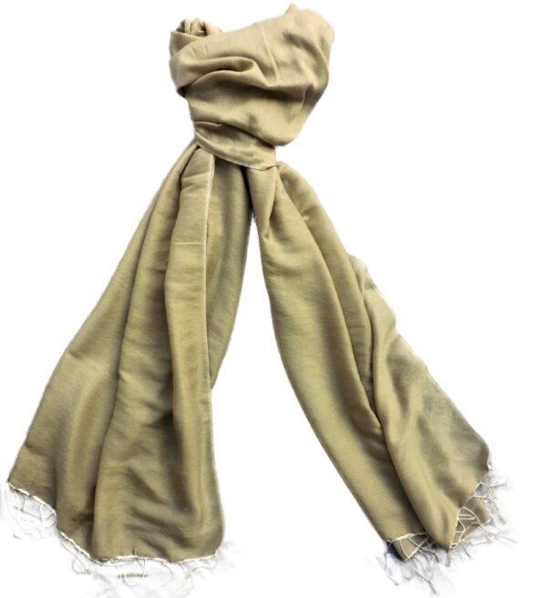 Light Green Pure Pashmina Shawls