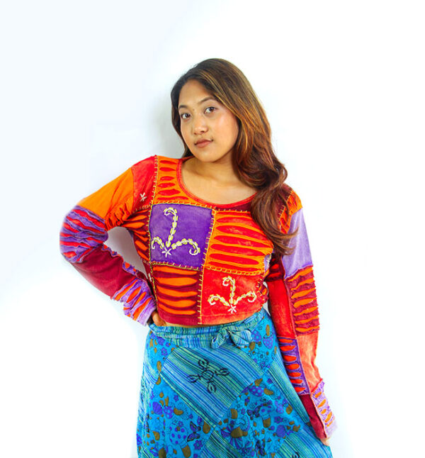 Crop Embroidery Colorful Women's Top